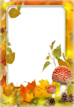 Foto effect van de categorie Herfst № 142243