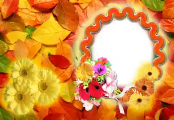 Foto effect van de categorie Herfst № 142255