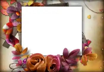 Foto effect van de categorie Herfst № 142460 Foto effect van de categorie Herfst № 142460