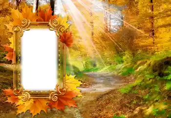 Foto effect van de categorie Herfst № 142463 Foto effect van de categorie Herfst № 142463