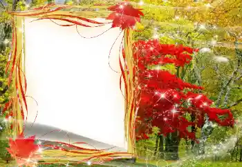 Foto effect van de categorie Herfst № 143481 Foto effect van de categorie Herfst № 143481