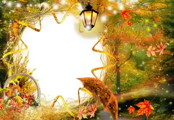 Foto effect van de categorie Herfst № 143483 Foto effect van de categorie Herfst № 143483