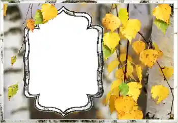 Foto effect van de categorie Herfst № 144851 Foto effect van de categorie Herfst № 144851