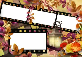 Foto effect van de categorie Herfst № 144966 Foto effect van de categorie Herfst № 144966