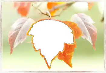 Foto effect van de categorie Herfst № 145072 Foto effect van de categorie Herfst № 145072