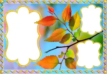 Foto effect van de categorie Herfst № 145082 Foto effect van de categorie Herfst № 145082