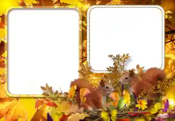 Foto effect van de categorie Herfst № 154567