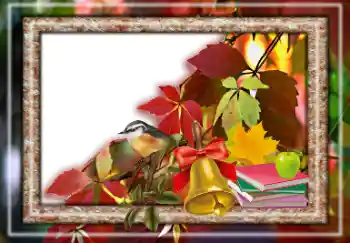 Foto effect van de categorie Herfst № 157063