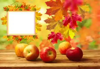 Foto effect van de categorie Herfst № 157134