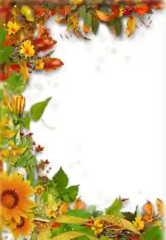 Foto effect van de categorie Herfst № 157238