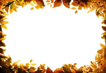 Foto effect van de categorie Herfst № 158309