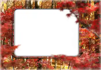 Foto effect van de categorie Herfst № 160546 Foto effect van de categorie Herfst № 160546