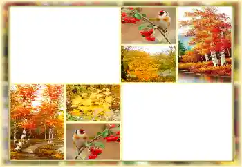 Foto effect van de categorie Herfst № 160654 Foto effect van de categorie Herfst № 160654