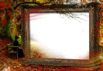 Foto effect van de categorie Herfst № 160664 Foto effect van de categorie Herfst № 160664