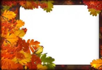 Foto effect van de categorie Herfst № 160787 Foto effect van de categorie Herfst № 160787