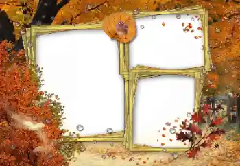 Foto effect van de categorie Herfst № 162180 Foto effect van de categorie Herfst № 162180