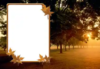 Foto effect van de categorie Herfst № 166423 Foto effect van de categorie Herfst № 166423