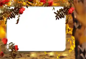 Foto effect van de categorie Herfst № 166546 Foto effect van de categorie Herfst № 166546