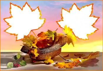 Foto effect van de categorie Herfst № 170391 Foto effect van de categorie Herfst № 170391