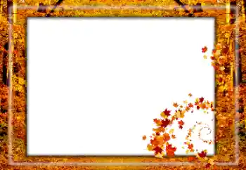 Foto effect van de categorie Herfst № 174119 Foto effect van de categorie Herfst № 174119