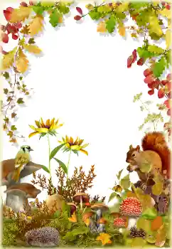 Foto effect van de categorie Herfst № 174322 Foto effect van de categorie Herfst № 174322