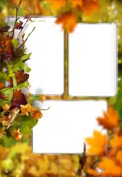 Foto effect van de categorie Herfst № 176614 Foto effect van de categorie Herfst № 176614