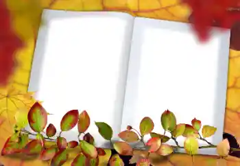 Foto effect van de categorie Herfst № 182190 Foto effect van de categorie Herfst № 182190