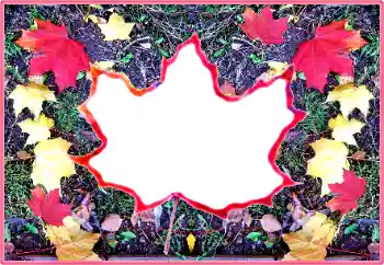 Foto effect van de categorie Herfst № 190569 Foto effect van de categorie Herfst № 190569