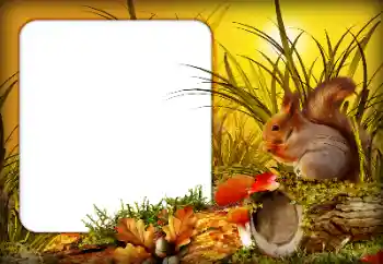 Foto effect van de categorie Herfst № 190592 Foto effect van de categorie Herfst № 190592