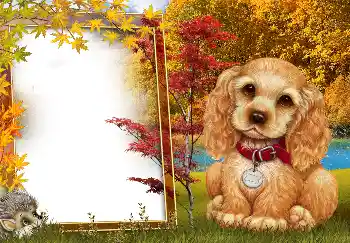 Foto effect van de categorie Herfst № 190594 Foto effect van de categorie Herfst № 190594