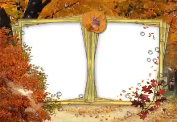 Foto effect van de categorie Herfst № 191691 Foto effect van de categorie Herfst № 191691