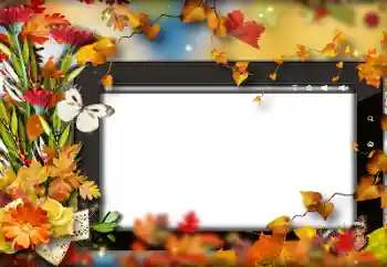 Foto effect van de categorie Herfst № 191705 Foto effect van de categorie Herfst № 191705