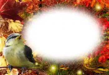 Foto effect van de categorie Herfst № 191761 Foto effect van de categorie Herfst № 191761