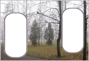 Foto effect van de categorie Herfst № 191770 Foto effect van de categorie Herfst № 191770