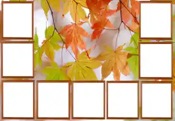 Foto effect van de categorie Herfst № 195267