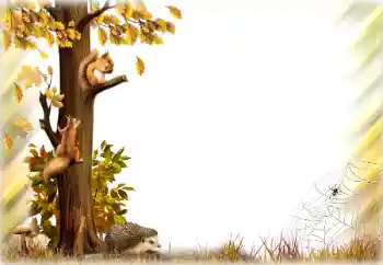 Foto effect van de categorie Herfst № 196642