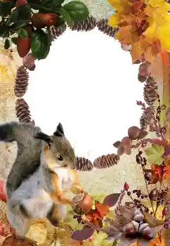 Foto effect van de categorie Herfst № 2011 Foto effect van de categorie Herfst № 2011