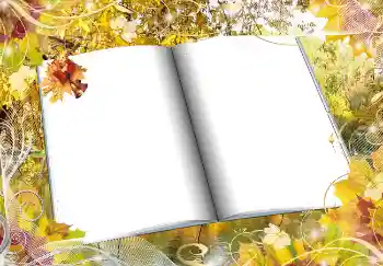 Foto effect van de categorie Herfst № 2016 Foto effect van de categorie Herfst № 2016