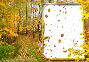 Foto effect van de categorie Herfst № 2029 Foto effect van de categorie Herfst № 2029