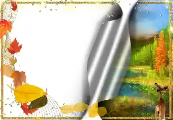 Foto effect van de categorie Herfst № 2030