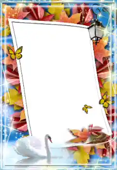 Foto effect van de categorie Herfst № 26766