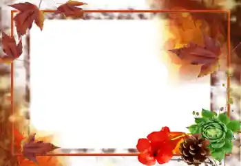 Foto effect van de categorie Herfst № 31707