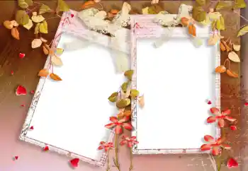 Foto effect van de categorie Herfst № 33988