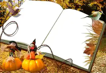 Foto effect van de categorie Herfst № 34030