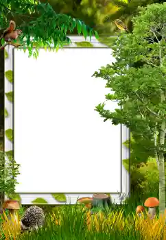 Foto effect van de categorie Herfst № 34731