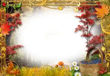 Foto effect van de categorie Herfst № 34761