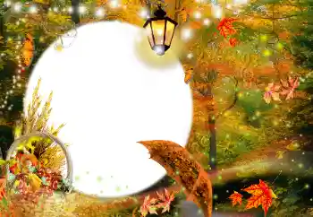 Foto effect van de categorie Herfst № 35073