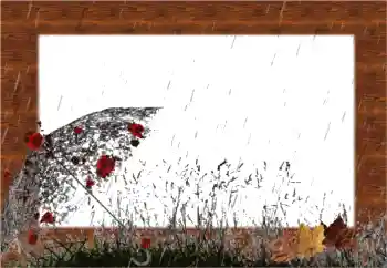 Foto effect van de categorie Herfst № 56541 Foto effect van de categorie Herfst № 56541