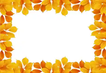 Foto effect van de categorie Herfst № 58881 Foto effect van de categorie Herfst № 58881