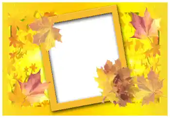 Foto effect van de categorie Herfst № 58883 Foto effect van de categorie Herfst № 58883